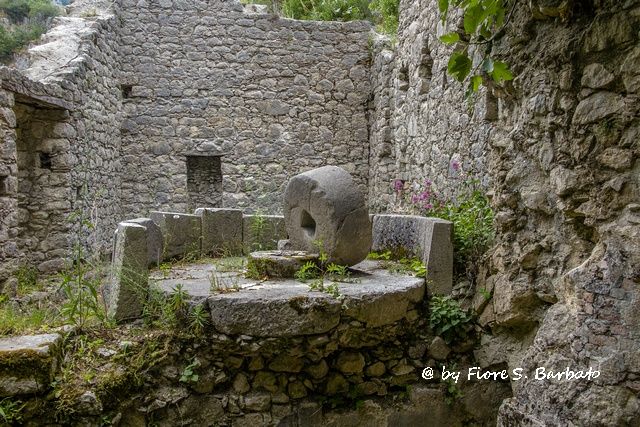 Antica Lucania: il comune di Parigi finanzia le ricerche dei siti archeologici